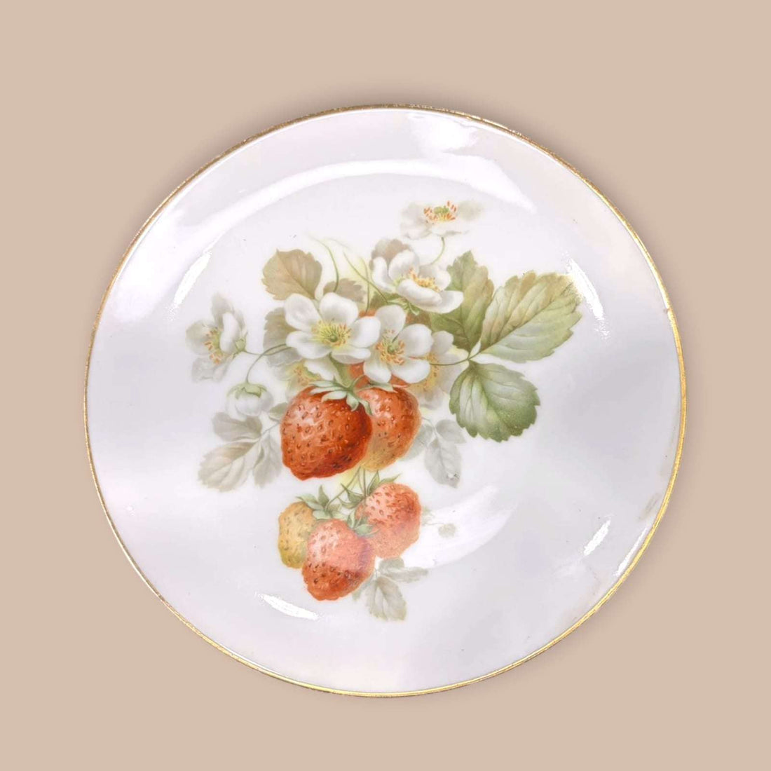 Lote de platos de porcelana Thomas Bavaria pintados a mano con diseños florales y frutales. Ideal para decoración elegante de interiores.