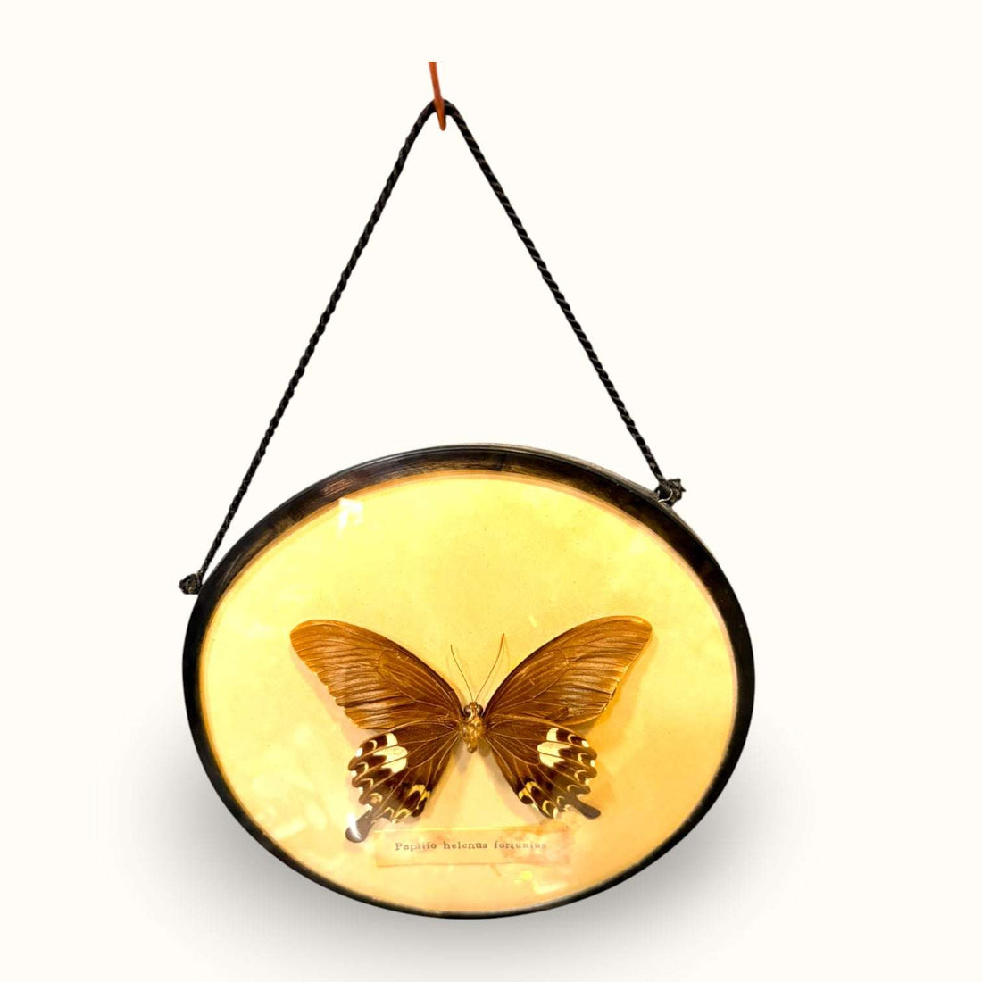 Este Marco con mariposa destaca por su delicadeza y por su capacidad para aportar personalidad sin ocupar demasiado espacio. 